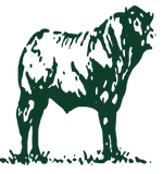Logo Ximplar Limitada